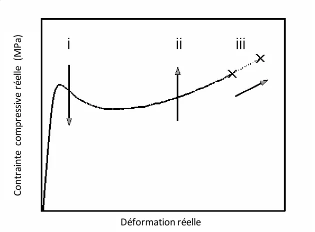 Figure  I.5: Changements  des propriétés  macroscopiques  des polymères  par la  modification  de leurs  propriétés  intrinsèques:  (i)  diminution  de la déformation  douce,  (ii)  augmentation  de  la  déformation  dur, (iii)  augmentation  du poids  mol