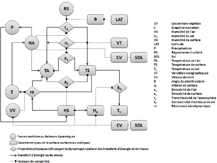 Figure 2.2 : Transferts d'énergie et de masse dans le système SVAT et facteurs de variabilité des indicateurs  agrométéorologiques 