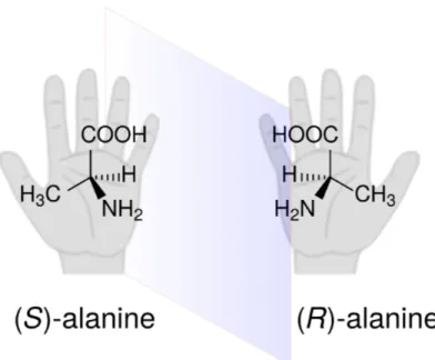 Figure 0.1 – L’acide aminé alanine est présent en deux énantiomères, soit le (R) et le (S)