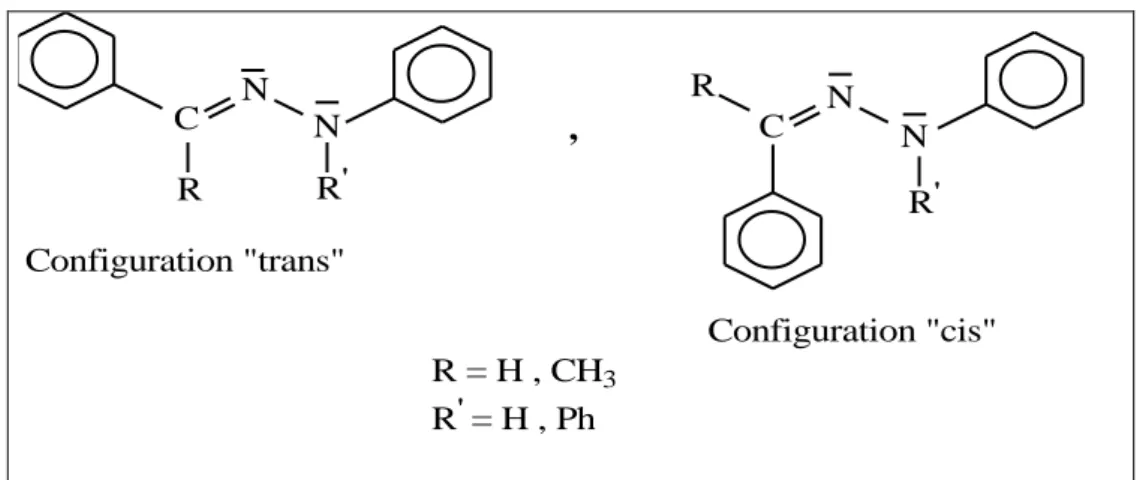Figure I.17. Isomères configurationnels d'une N-arylhydrazone 