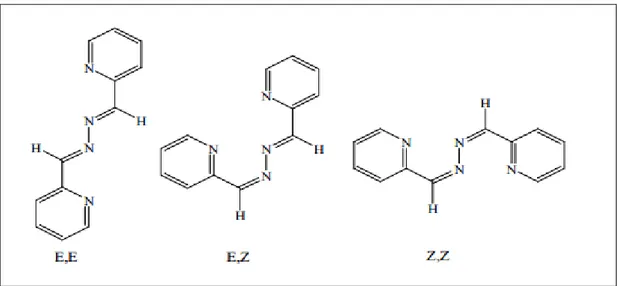 Figure I.28. Différents diastéréoisomères de la (s-trans) 2,2'-[hydrazine-1,2-                                        diylidenedimethylylidene]dipyridine 