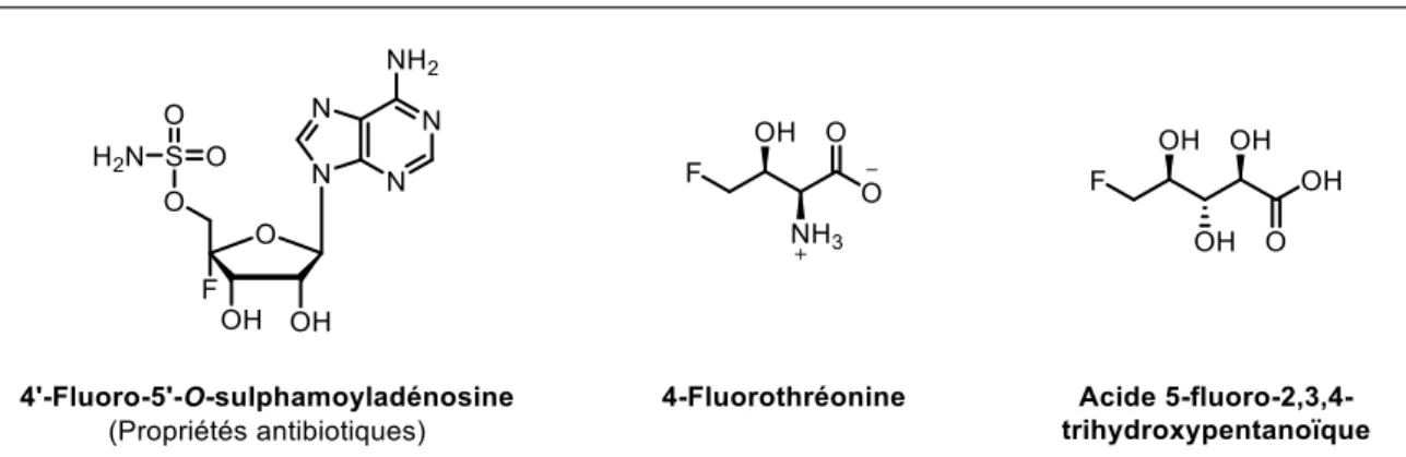 Figure i.1. Exemples de composés naturels fluorés 