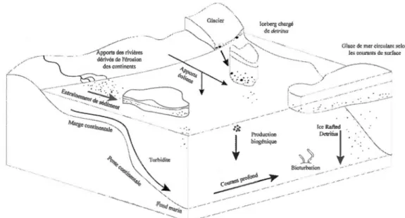 Figure 4 : Origines et mécanismes de  transport des  éléments dans 1  'océan  Arctique