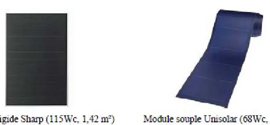 Figure II.5 : Deux exemples de modules utilisant le Sia (Silicium amorphe) [ 41 ]. 