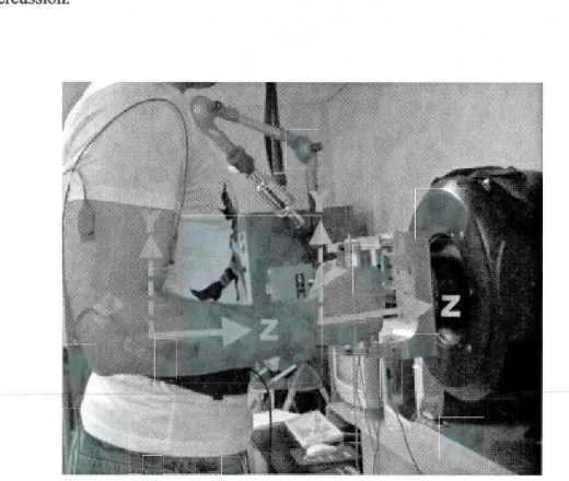 Figure 2.10 : Axes de vibration utilisés  lors de l'expérimentation (Z: axe  principal) 