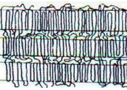 Figure II.2: Morphologie d'un polymère semi