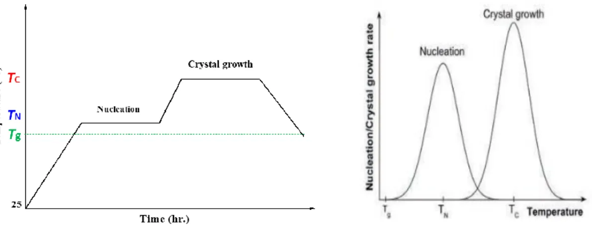 Figure I-4 Glass crystallization process in two-steps: (left) heat-treatment cycle, and (right)  nucleation and crystal growth rate in dependence on temperature 