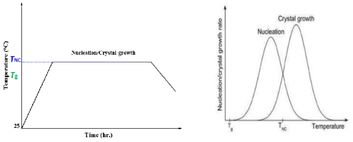Figure I-5 Glass crystallization process in one-step: (left) heat-treatment cycle, and (right) nucleation  and crystal growth rate in dependence on temperature 