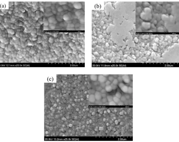 Figure III-15 FE-SEM micrographs of (a) GP0, (b) GP1 and (c) GP3 specimens treated at 750 °C for  1h