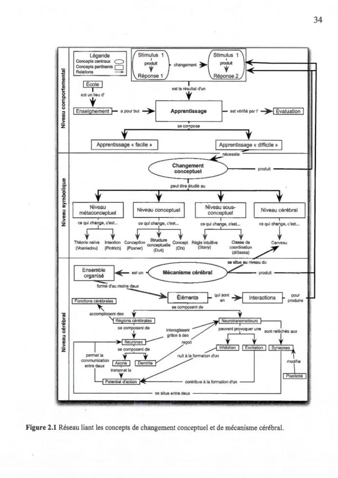 Figure 2.1  Réseau liant les concepts de changement conceptuel et de mécanisme cérébral