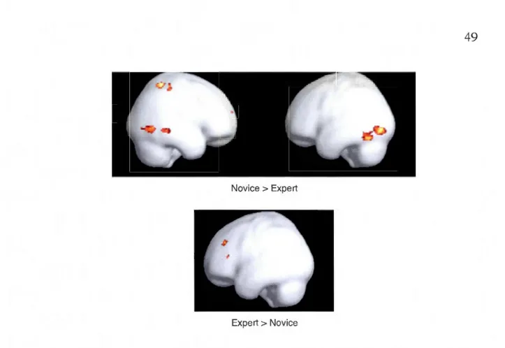 Figure  2.5  Étude  portant  sur  1  'expertise  sc ientifique  en chimie.  (Tiré  de  Nel son,  Lizca no  et  Dunbar,  2007) 