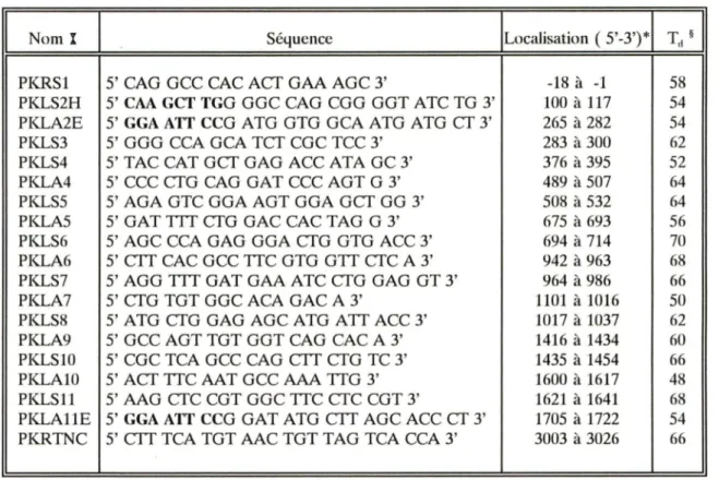 TABLEAU 6.  AMORCES DE SYNTHESE POUR L'AMPLIFICATION DU GENE PK-L PAR PCR 