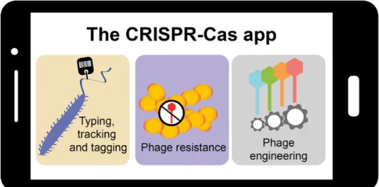 Figure 8. Graphical abstract for “The CRISPR-Cas app goes viral” 