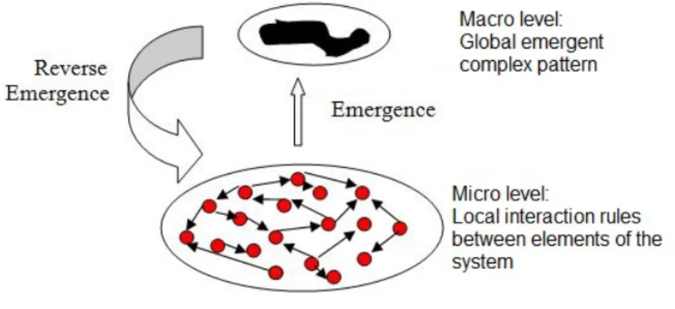 Figure 1  Système complexe et concept d'émergence inversée