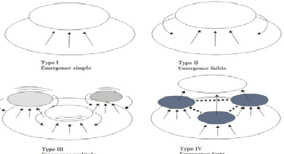 Figure 1.3  Types d'émergence. [Fro05]