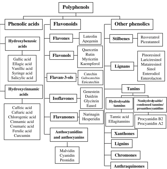 Figure 1. Types of polyphenols (Martinez et al., 2017).
