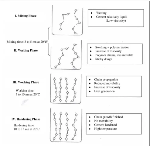 Figure I.3 Schematic graph of the polymerization process of PMMA-based bone cements. (2)