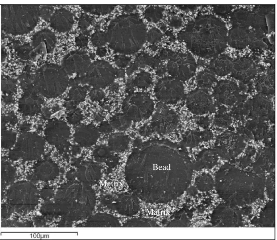 Figure II.9 Fracture surface appearance of  Simplex P  during instable crack propagation.