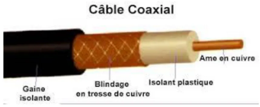 Figure  1-7 Le câble coaxial.