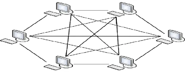 Figure  1-12 Topologie hybride