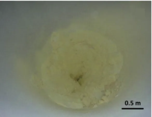 Figure I-3 : Photographie du fonds d’une tour de séchage après production de poudre de lactosérum  acide (Bédas et al