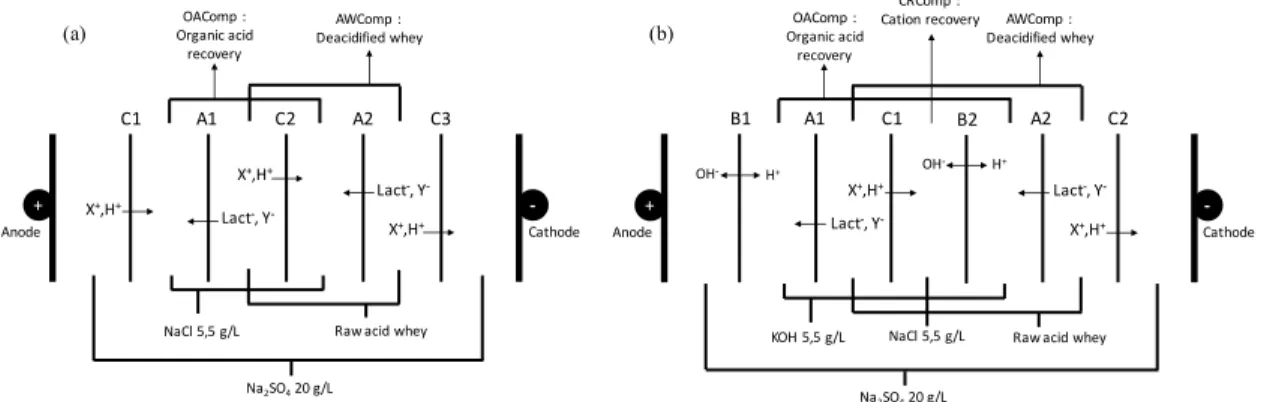 Figure III-1: ED configurations (a) CACAC and (b) BACBAC used for acid whey deacidification