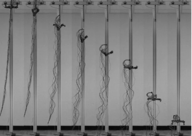 Figure 1.8 – Still frames from the high speed footage