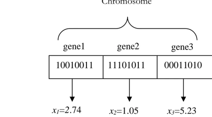Figure 2.4    The five levels of organization   Figure 2.5    Schematic illustration of the      of a genetic algorithm