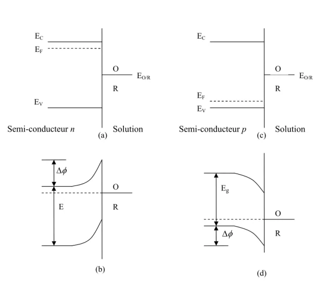 Figure  I.5:  Formation  d’une  jonction  entre  les    semi-conducteurs  de  type  n  et  p  et  une  solution contant le couple O/R