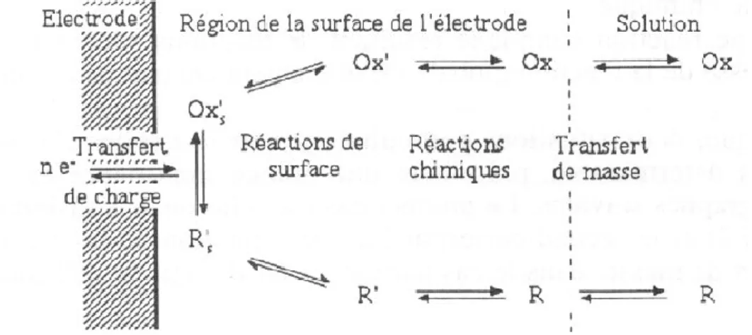 Figure  1.9:  Représentation  schématique  des  différentes  étapes  pouvant  intervenir  au  cours  d’une réaction électrochimique [17]