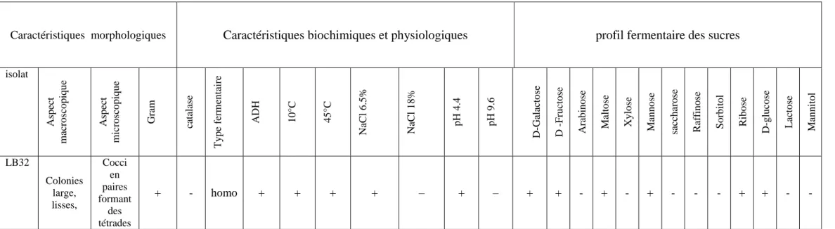 Tableau 6. Caractéristiques morphologiques, biochimiques, physiologiques  et profil fermentaire des sucres de Pediococcus pentosaceus 