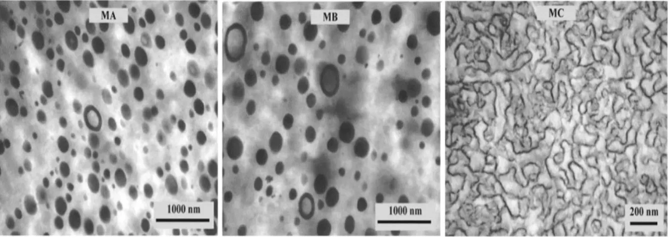 Figure 3.1. TEM micrographs of three PE/PA blends prepared by reactive extrusion, showing  sea-island (MA and MB) and co-continuous morphologies (MC)