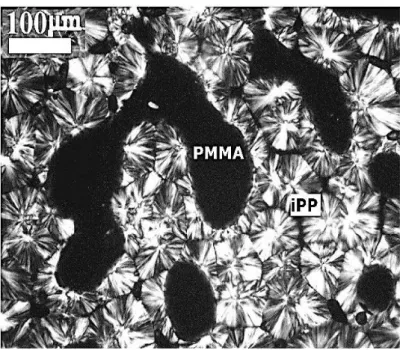 Figure 3.5. PLOM micrograph  for an  iPP/PMMA blend after the sample was crystallized at  130°C for 30 min