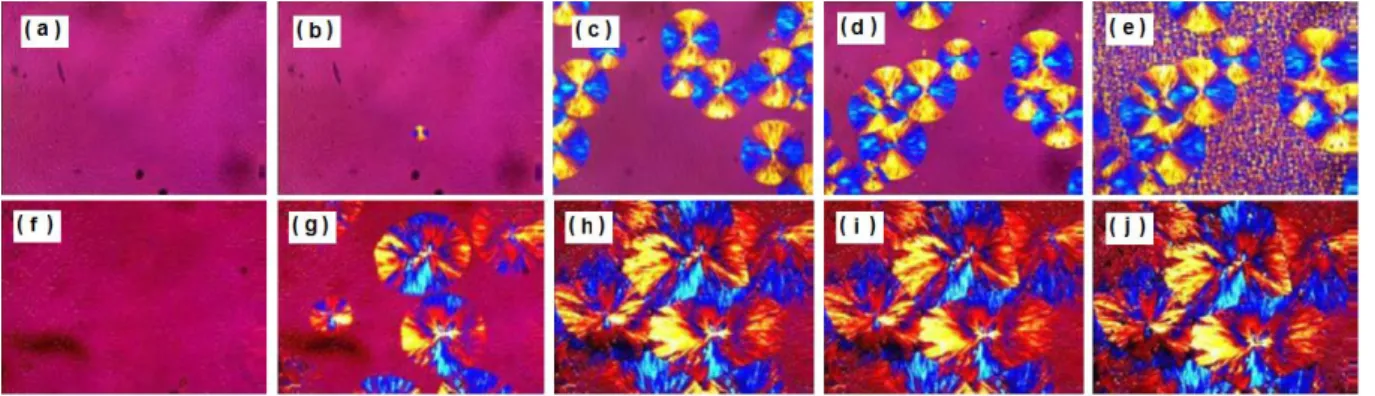 Figure 3.13. PLOM images during crystallization of 85/15 PLLA/PCL blends either neat (a-e)  or with 5wt% Pluronic copolymer (f-j)
