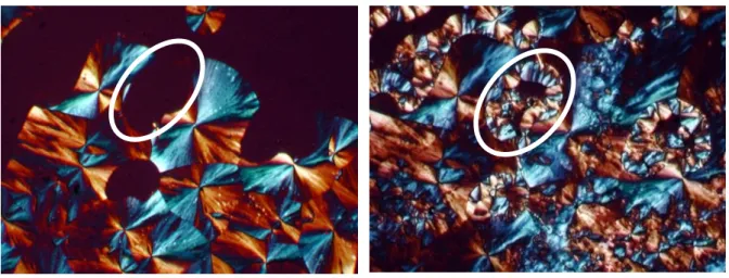 Figure 3.14. Optical micrographs of 32/68 PLLA/PCL immiscible blends during crystallization  (a) at 120°C, and (b) at 35°C