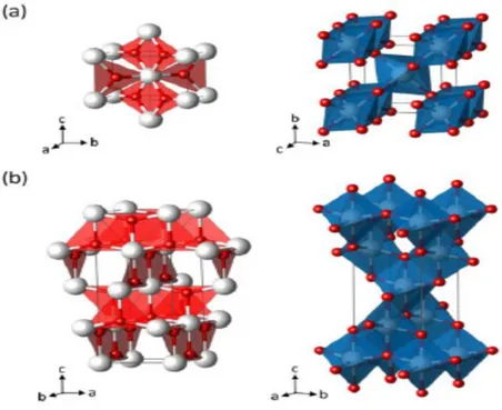 Figure I-4 : structure cristallographique : a) Anatase, b) Rutile, où Ti est représenté en blanc et O en  rouge [53]