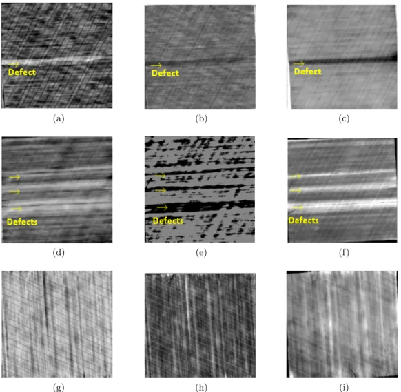 Figure 3.9: B-TSR and PCT results of US specimens using the flashes set-up and 88 fps: (a) US-01: B-TSR (1st), (b) US-01: B-TSR (2nd), (c) US-01: PCT (EOF01), (d) US-02: B-TSR (1st), (e) US-02: B-TSR (2nd), (f) US-02: PCT (EOF01), (g) US-03: B-TSR (1st), (