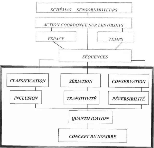 Figure 8: Modèle de construction du concept du nombre selon Labinowicz (1986), modifié par Polo, LM (1999)