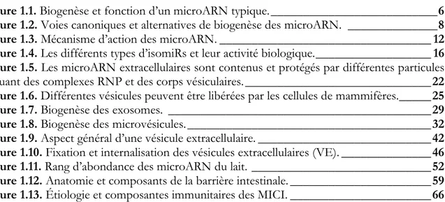 Figure 1.1. Biogenèse et fonction d’un microARN typique. __________________________ 6  Figure 1.2