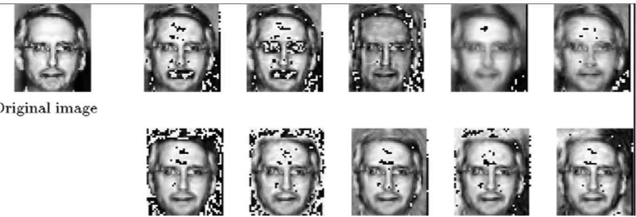Figure 3.4 Images reconstruites en utilisant 300 coefficients de projection de la PCA  pour les images modifiées électroniquement de la figure 3.3