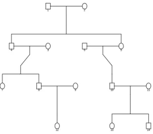 Figure 1: Example of a graphical representation of a general pedigree. Squares represent males, circles represent females.