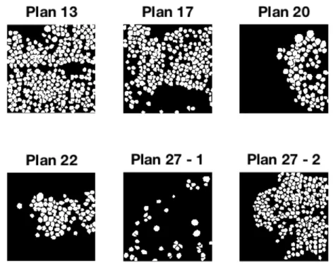 Figure 2.4 – Segmentation manuelle de différentes sous-régions de l’ensemble de données Ahrens