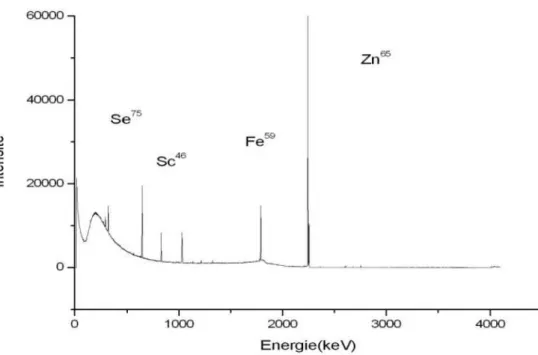 Fig. 30. Spectre gamma d'un échantillon de cheveu d’un  malade atteint de psoriasis obtenu  avec un flux de 1.23 10 13  n.cm -2 .s -1  (CRND)