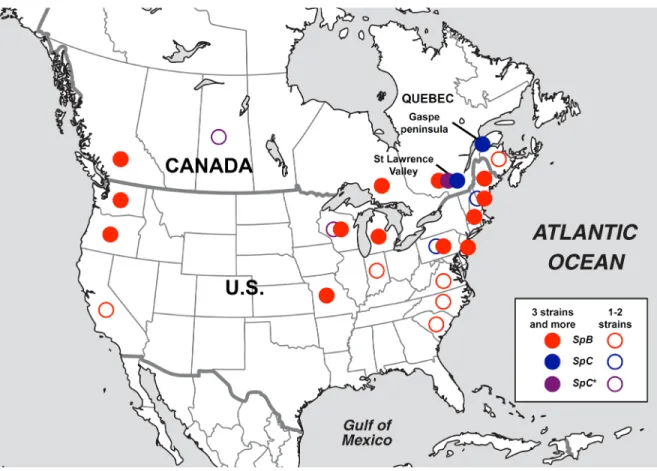 Figure I.S1: Distributions of S. paradoxus lineages SpC (blue) and the  hybrid lineage SpC* (purple) are mostly restricted to Eastern Canada,  while SpB is widely distributed across North America