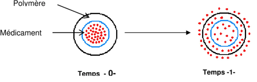 Figure  6  :  Mécanismes  de  contrôle  de  la  libération  d’un  principe  actif  par  diffusion  avec  le  système réservoir