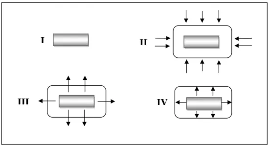 Figure 22 : Étapes du processus de la libération contrôlée de médicaments pour un comprimé à  base de Contramid®  [83] 