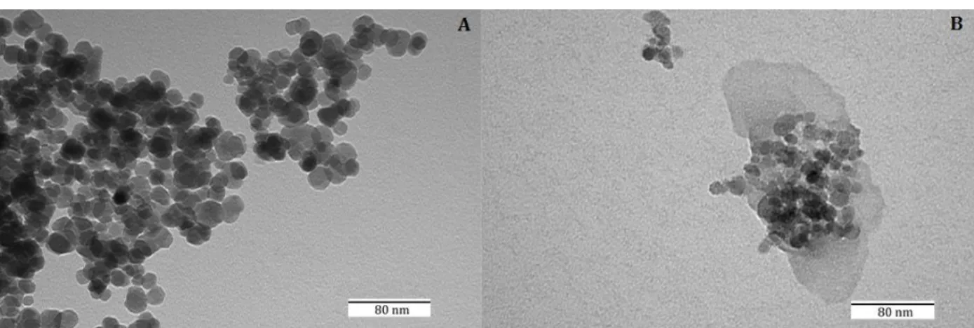 Figure 3.2. A) TEM image of the Fe 3 O 4  nanoparticles. B) TEM image of the magnetic  Schiff base