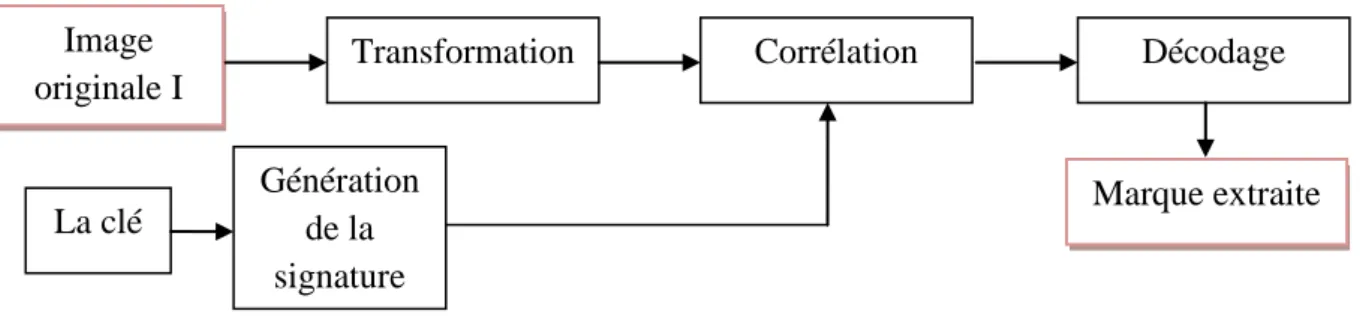 Figure 1.13  Principe de l’extraction de la marque par addition. 