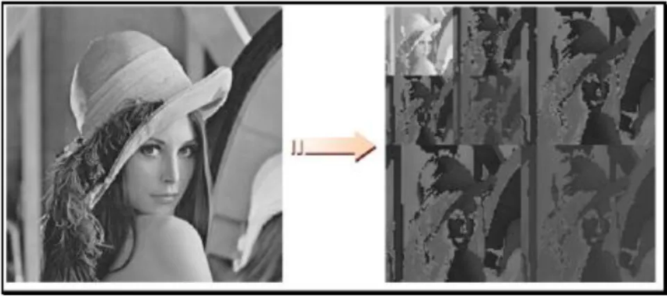 Figure 2.3  Décomposition en ondelette au 2ème niveau de l’image de Lena. 
