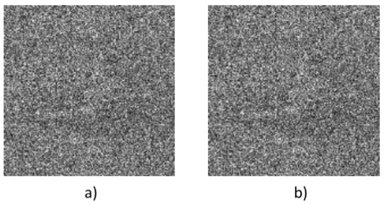 Figure 3.5  Image décryptée avec une erreur 